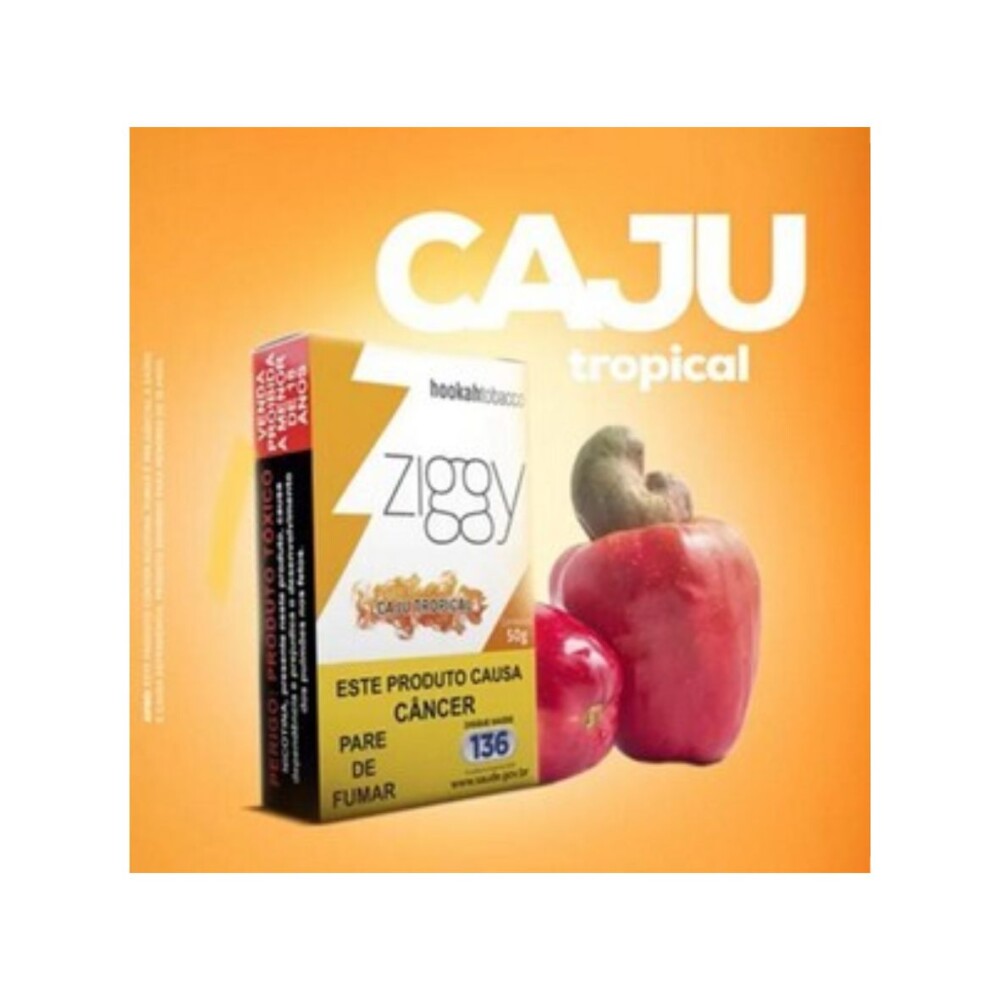 Ziggy Cajú Tropical – REF – 0874 - JVB Distribuidora