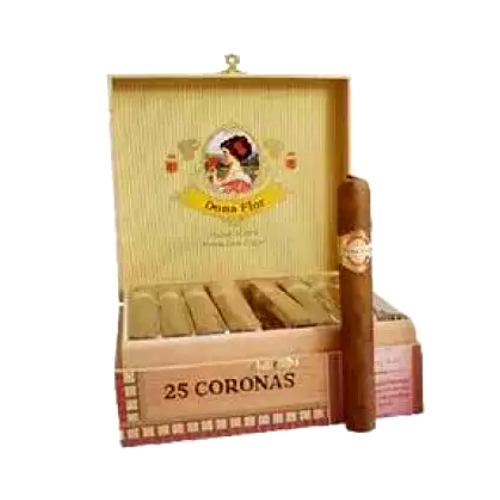 DONA FLOR CORONA SIMPLES COM 25 – REF 1145 - JVB Distribuidora